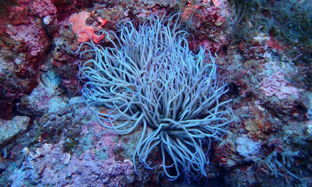 Stacks Image 155