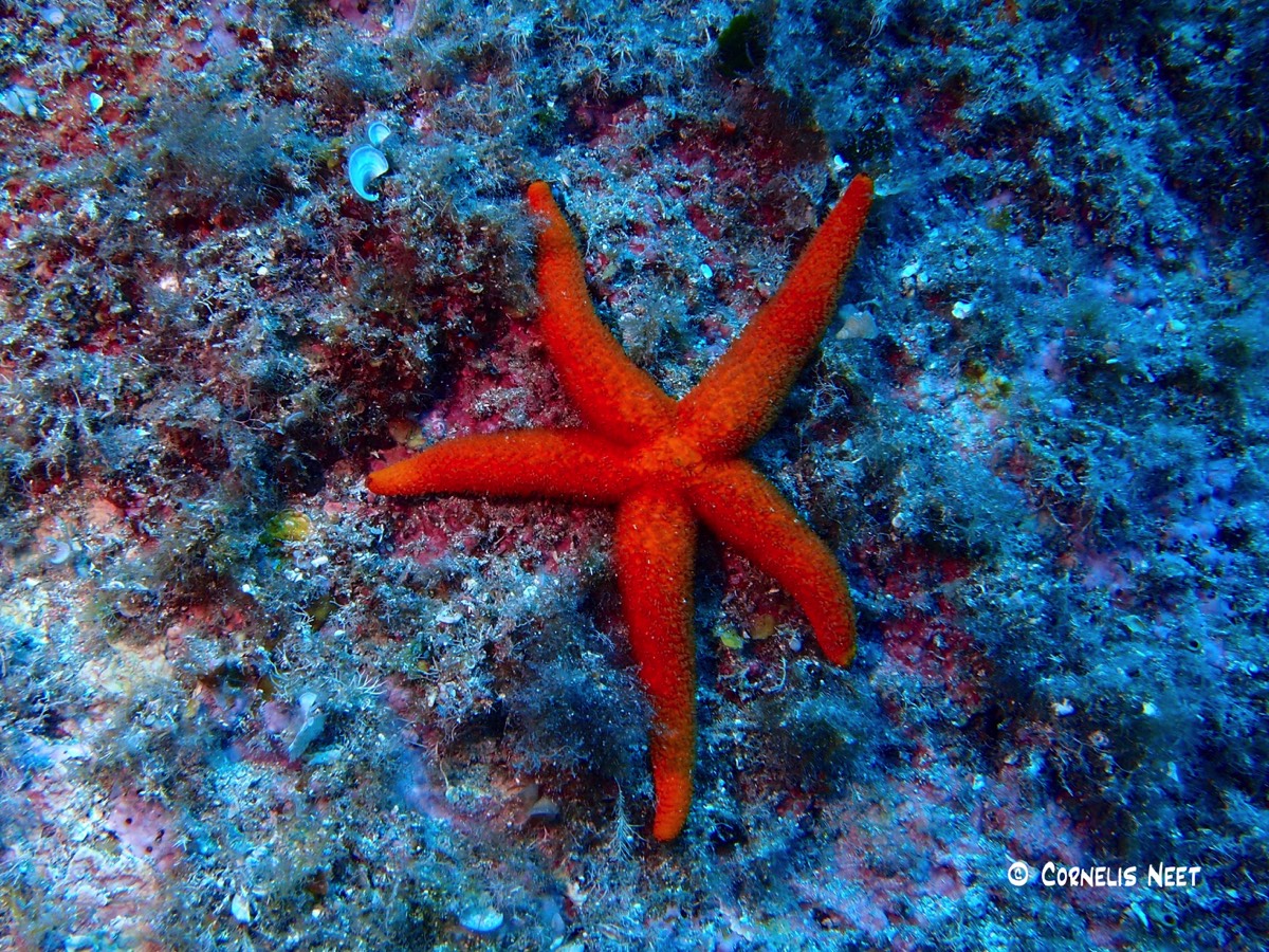 Stacks Image 85