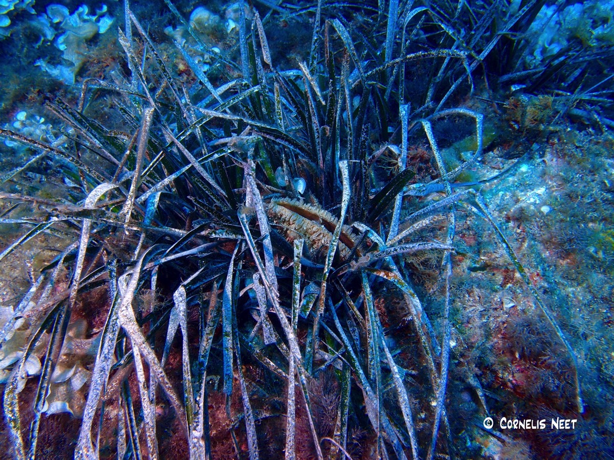 Stacks Image 87