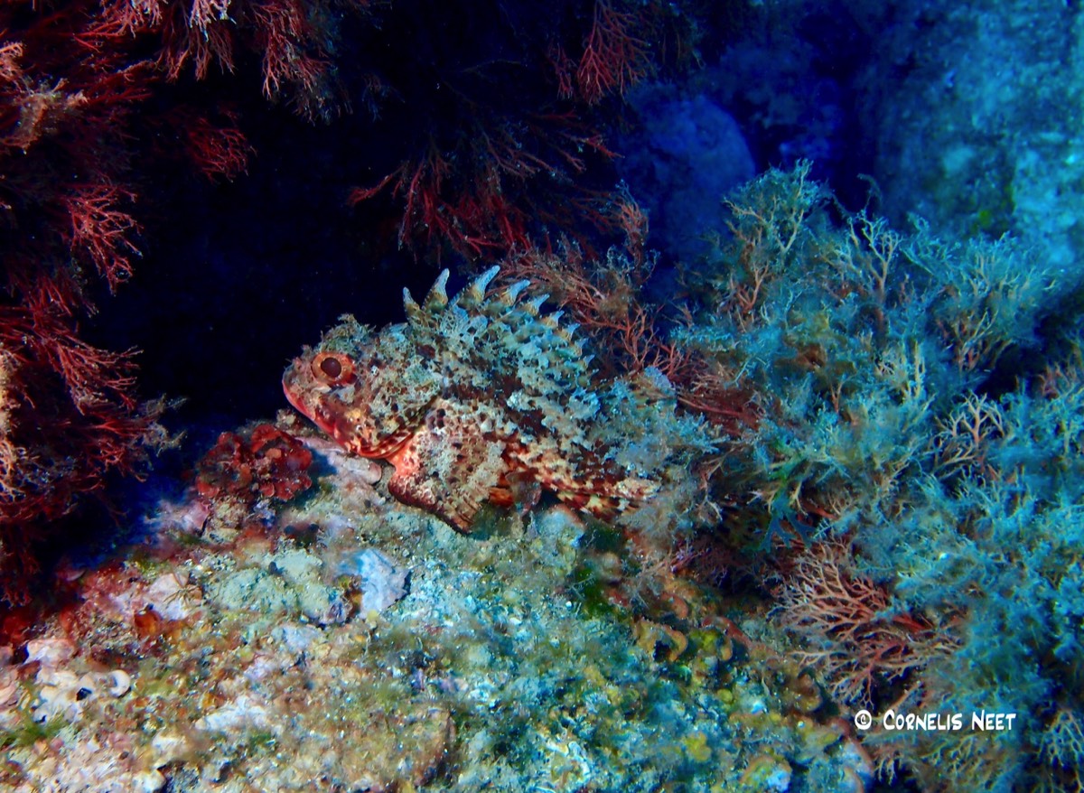 Stacks Image 99